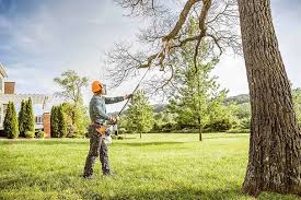 Best Lawn Watering Services  in Superior, CO